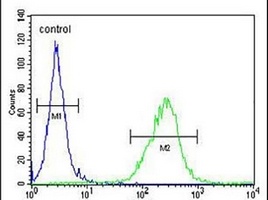 Anti-OR6C4 Antibody