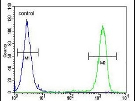 Anti-EFHB Antibody