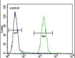 Anti-AMN1 Antibody