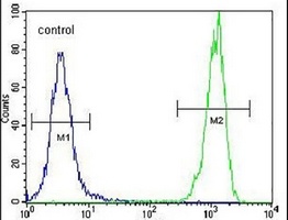 OR10H1 Rabbit Polyclonal Antibody