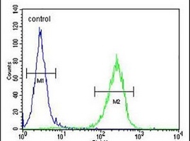 C15orf27 Antibody