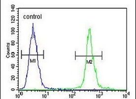 Anti-ALS2CR11 Antibody