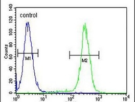 Anti-HIST1H2BJ Antibody