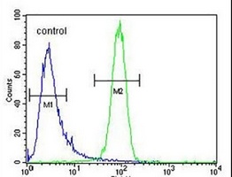 Anti-MCH Receptor 1 Antibody