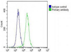 Anti-ARV1 Antibody