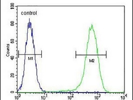 NUDT8 Antibody