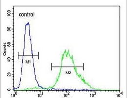 Anti-ZNF98 Antibody