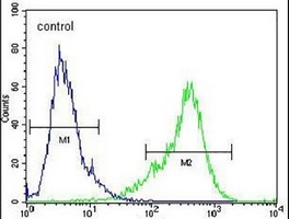 Anti-TLDC1 Antibody