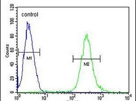 Anti-ATF7IP2 Antibody