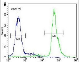 Anti-Neuroserpin Antibody