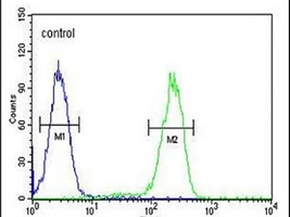 UBA52 Rabbit Polyclonal Antibody