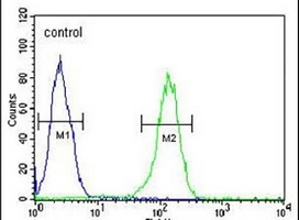 Anti-TMEM214 Antibody