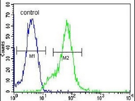 Anti-LGALS9B Antibody