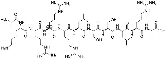A-K-R-R-R-L-S-S-L-R-A peptide