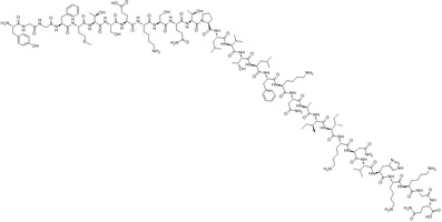 beta Endorphin Camel peptide