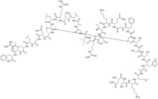 BNP (1-32) Rat peptide