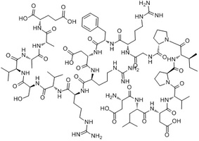 Calcineurin SubstRate peptide