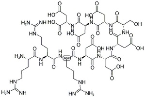CK2 peptide