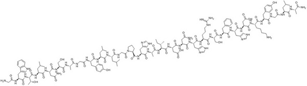 Galanin peptide