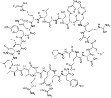 Neuro Y (13-36) Human peptide