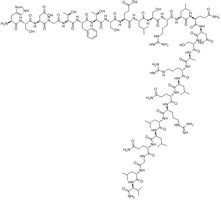 Secretin Rat peptide