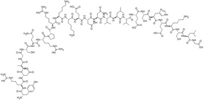 Human [Tyr43] PTH peptide