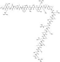 Human Ac-[Tyr1, D-Arg2] GRF amide peptide