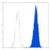 CD13 Mouse Monoclonal Antibody