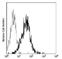 CD147 Mouse Monoclonal Antibody