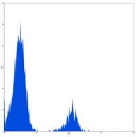 CD19 Mouse Monoclonal Antibody