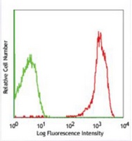 CD2 Mouse Monoclonal Antibody