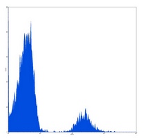 CD20 Mouse Monoclonal Antibody