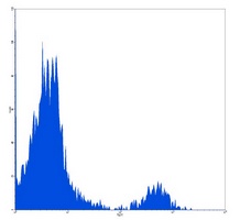 CD21 Mouse Monoclonal Antibody