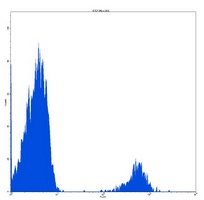 CD22 Mouse Monoclonal Antibody