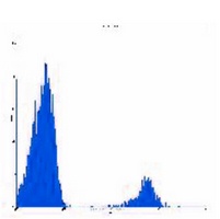 CD22 Mouse Monoclonal Antibody