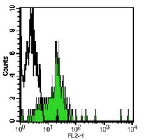 CD282 Mouse Monoclonal Antibody