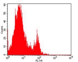 CD32 Antibody