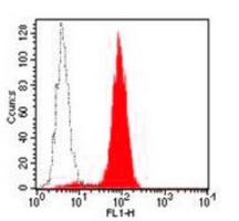 CD33 Mouse Monoclonal Antibody