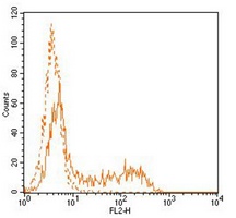 CD34 Mouse Monoclonal Antibody