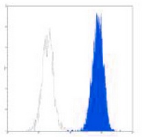 CD35 Mouse Monoclonal Antibody