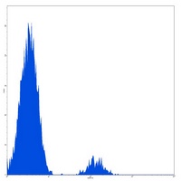 CD37 Mouse Monoclonal Antibody