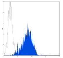 CD38 Antibody
