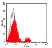 CD40 Mouse Monoclonal Antibody