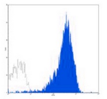 CD41a Mouse Monoclonal Antibody