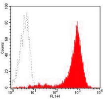 CD44 Mouse Monoclonal Antibody