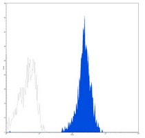 CD45 Antibody