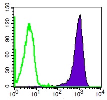 CD47 Mouse Monoclonal Antibody