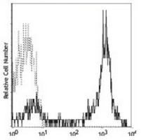 CD5 Mouse Monoclonal Antibody