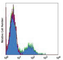 CD56 Mouse Monoclonal Antibody