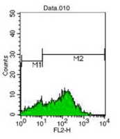 CD7 Mouse Monoclonal Antibody